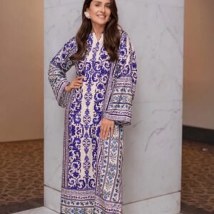 Blue & Ivory Printed Long Dress